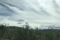 Views on the Alaskan Highway