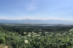 View from the bluff in Homer, AK