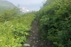Trail to Hidden Lake