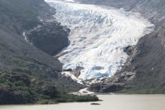 Bear glacier