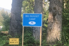 The Big nugget