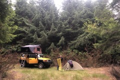 Camping in Olympic National Park