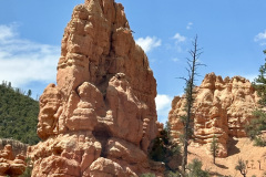 20250608 -Red Canyon Campground