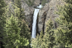 IMG_1644