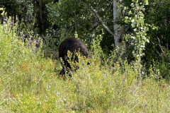 IMG_2192