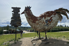 20250714-15 - Chicken, AK
