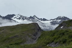 IMG_2450