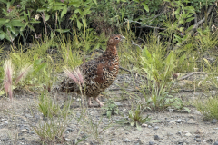 IMG_2817