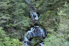 IMG_2291