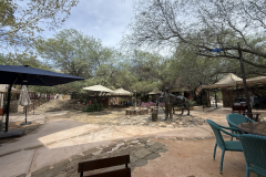 20251227-30 - El Truinfo