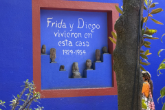 20260211 - CDMX Frida Kahlo