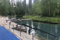 Liard Hot springs