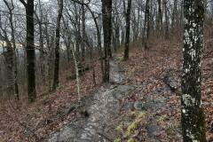 65419112-3AE2-48A2-A0F2-124779324BFA