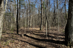 C045214A-C685-4D2C-BCE6-4AF69AAF1F23