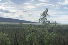 Some scenery