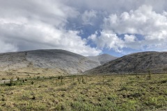 Tundra reaches rock.