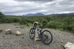 My bike posing on the park road