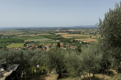 IMG_1737