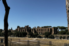 IMG_1947