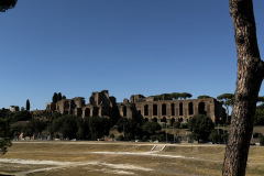 IMG_1949