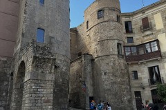 IMG_2877