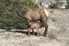 AWWW