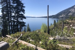 Jenny Lake