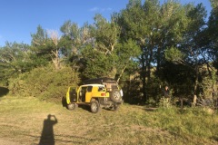 Campsite along Yellowstone River in Montana
