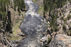 Yellowstone river