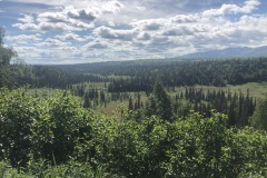 Wilderness