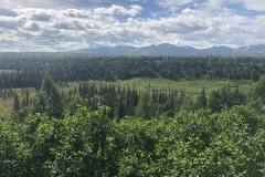 Wilderness