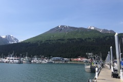 Marina in Seward