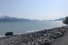 Beach in Resurrection Bay
