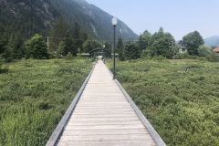 Boardwalk over the estuary in Stewart BC