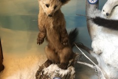 Another stuffie